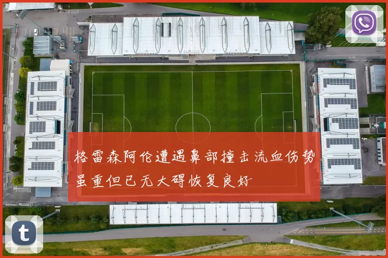 格雷森阿伦遭遇鼻部撞击流血伤势虽重但已无大碍恢复良好